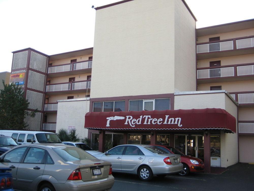 The Red Tree Inn Myrtle Beach Extérieur photo